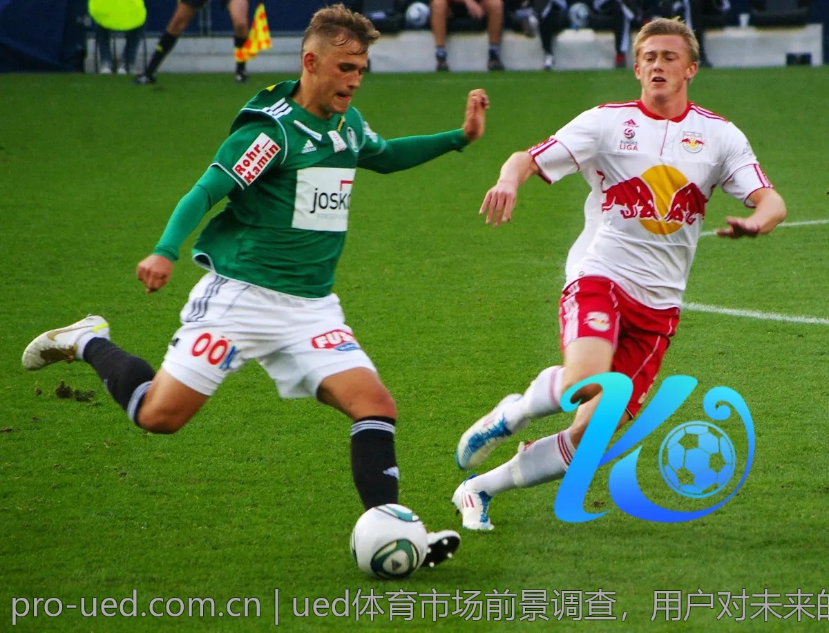 ued体育市场前景调查，用户对未来的期望