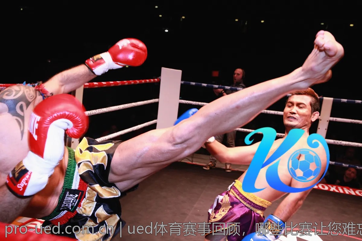 与ued体育相关的五大热门话题，网友热议