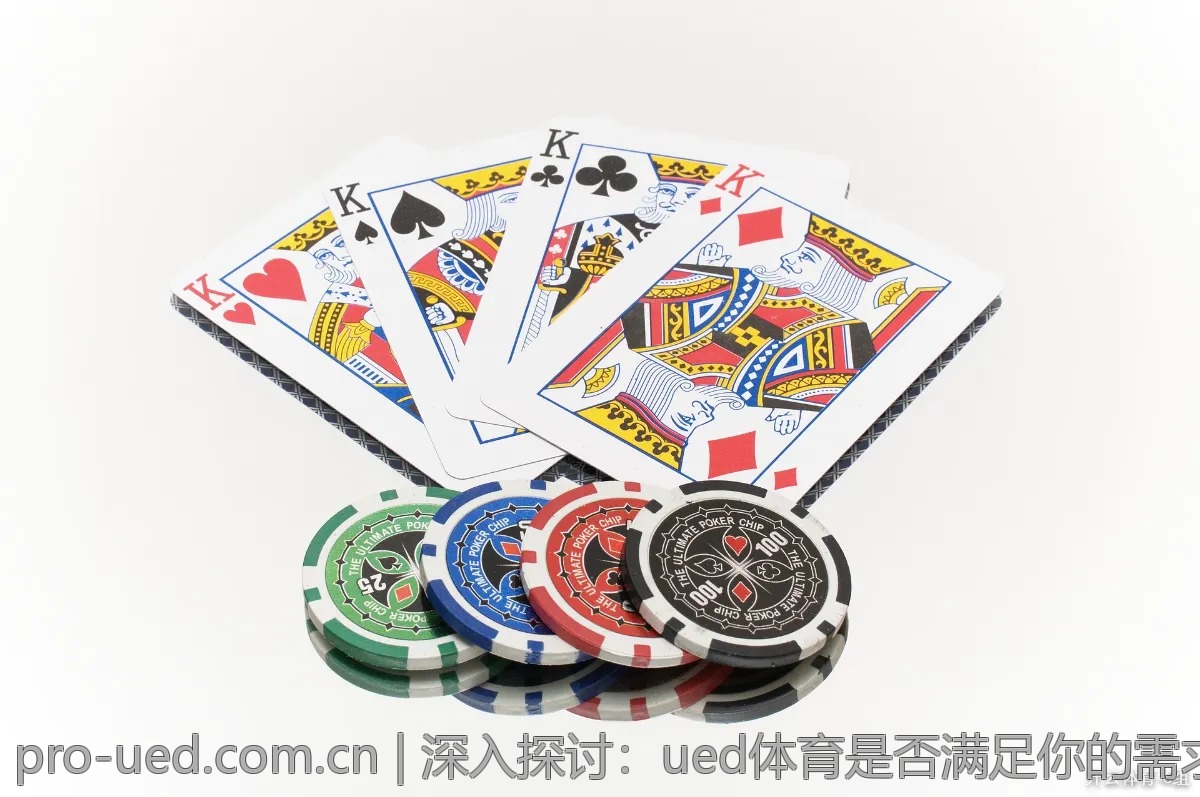 深入探讨：ued体育是否满足你的需求？