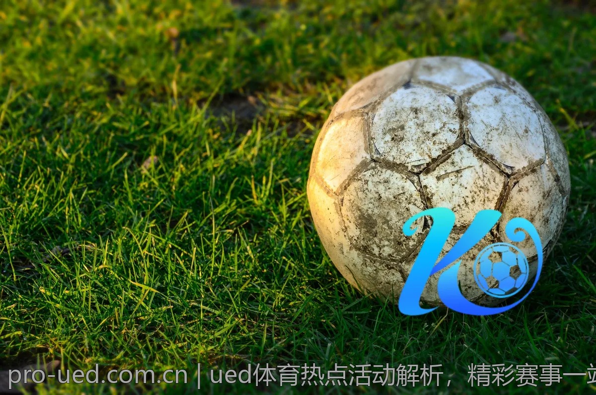 ued体育热点活动解析，精彩赛事一站式了解