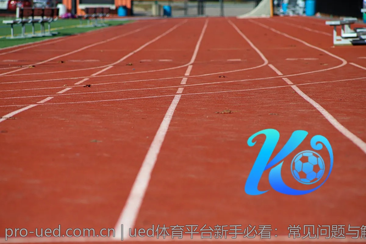 ued体育平台新手必看：常见问题与解决方案