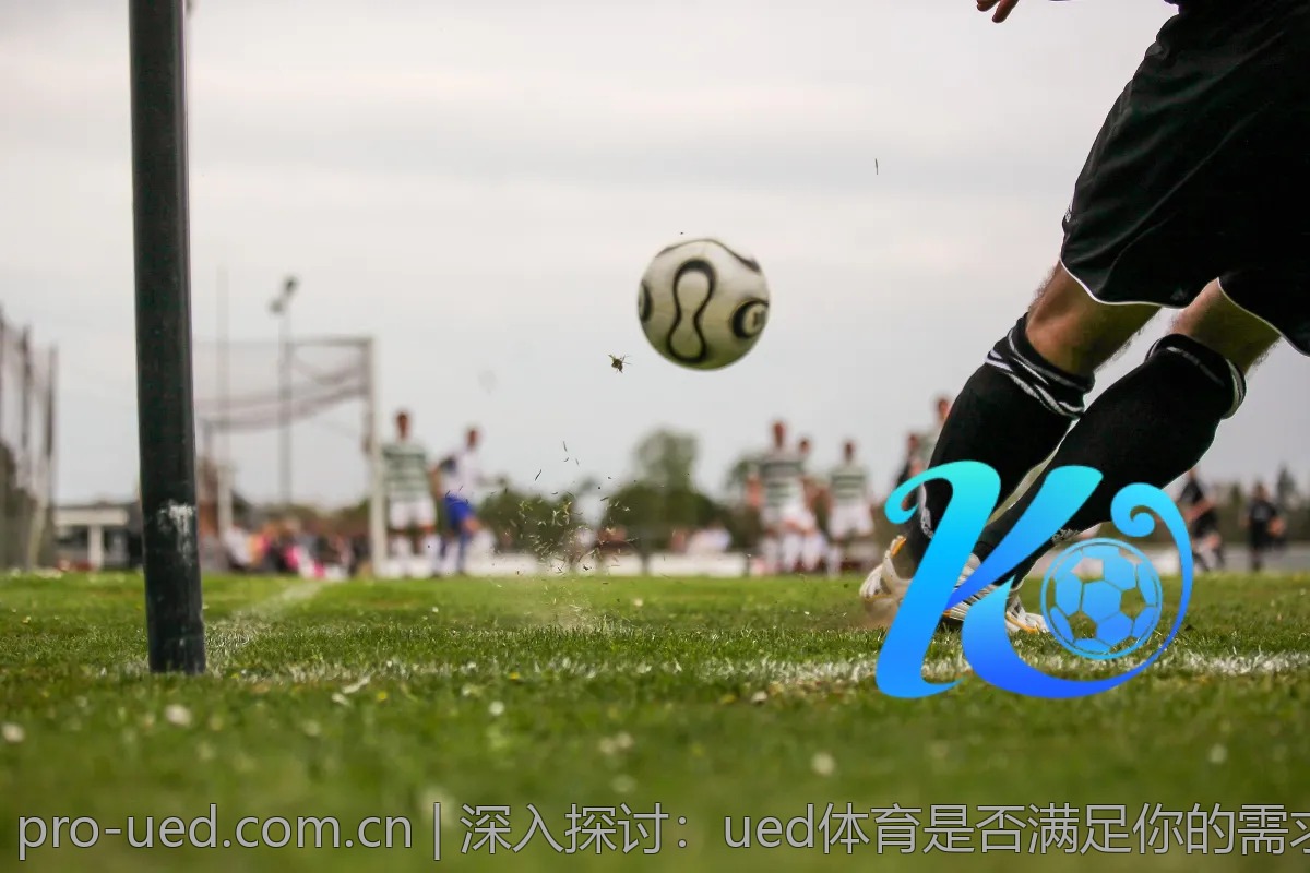 深入探讨：ued体育是否满足你的需求？